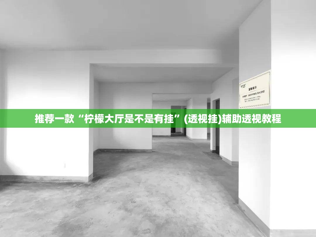 推荐一款“柠檬大厅是不是有挂”(透视挂)辅助透视教程