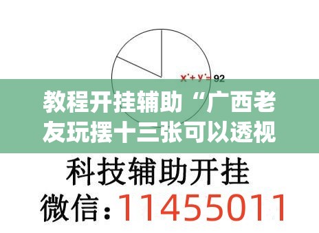 教程开挂辅助“广西老友玩摆十三张可以透视吗”(透视挂)辅助透视教程