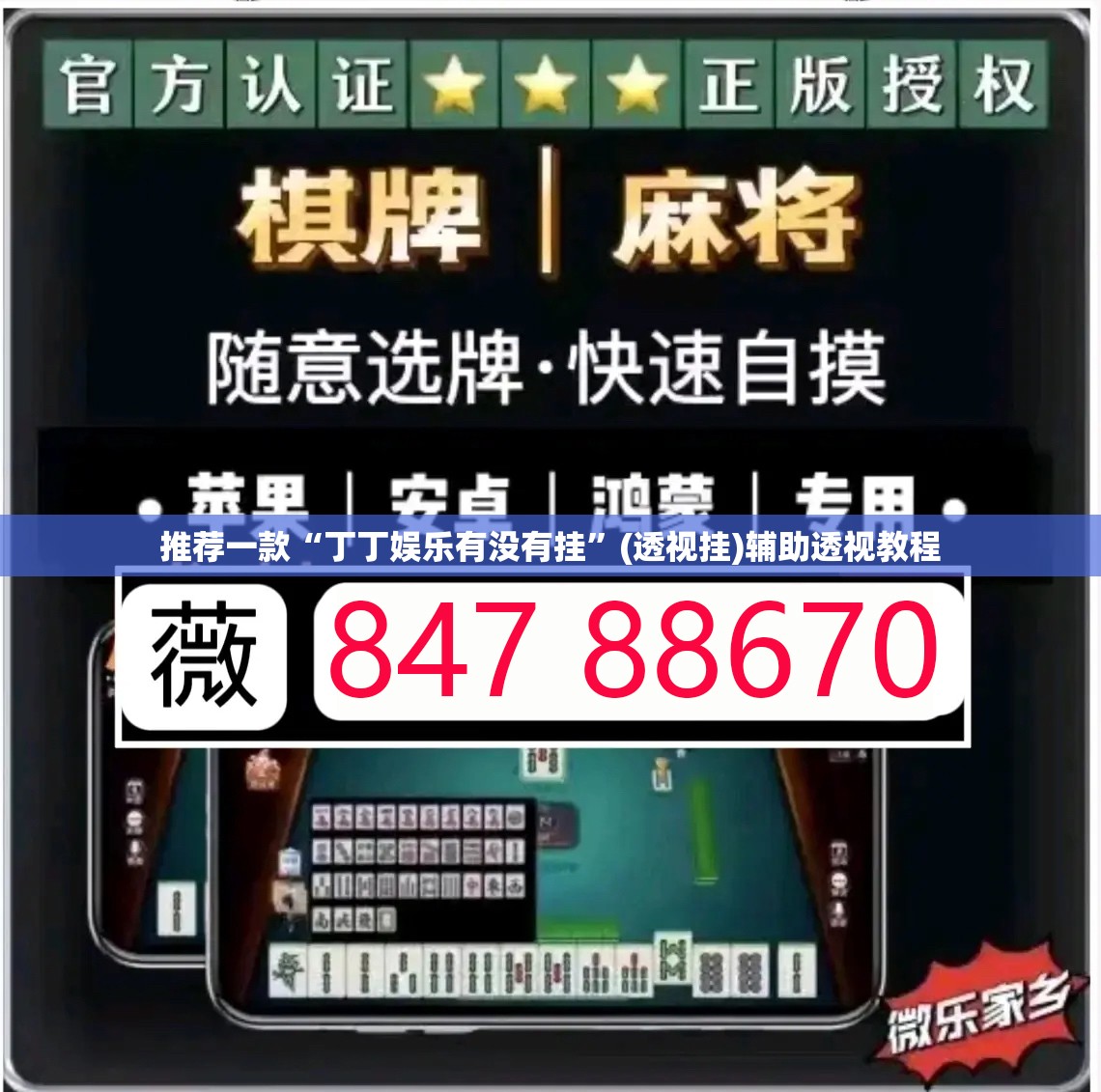 推荐一款“丁丁娱乐有没有挂”(透视挂)辅助透视教程