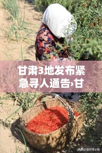甘肃3地发布紧急寻人通告›甘肃3地发布紧急寻人通告今天 甘肃3地发布紧急寻人通告›甘肃3地发布紧急寻人通告今天