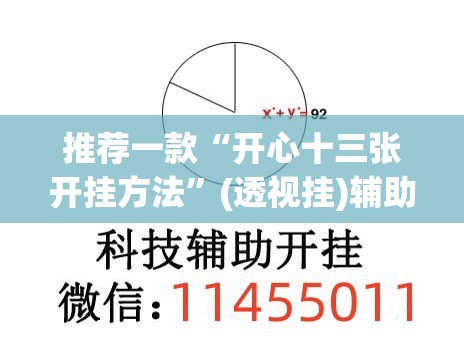 推荐一款“开心十三张开挂方法	”(透视挂)辅助透视教程