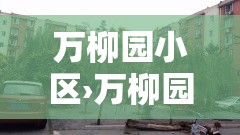 万柳园小区›万柳园小区租房 万柳园小区›万柳园小区租房