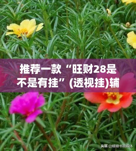 推荐一款“旺财28是不是有挂”(透视挂)辅助透视教程