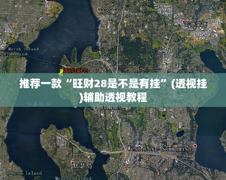 推荐一款“旺财28是不是有挂	”(透视挂)辅助透视教程