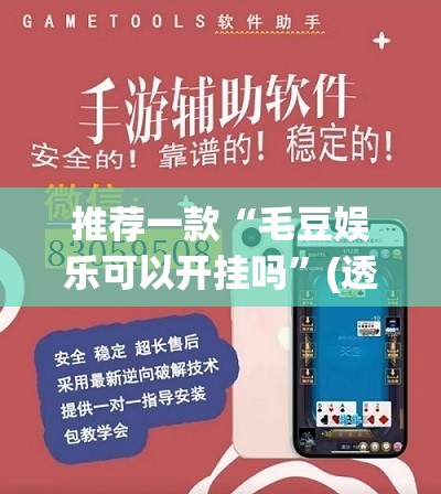 推荐一款“毛豆娱乐可以开挂吗”(透视挂)辅助透视教程
