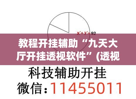 教程开挂辅助“九天大厅开挂透视软件”(透视挂)辅助透视教程