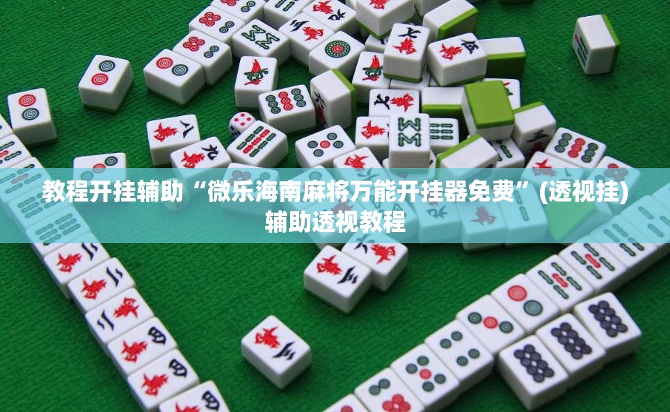 教程开挂辅助“微乐海南麻将万能开挂器免费”(透视挂)辅助透视教程