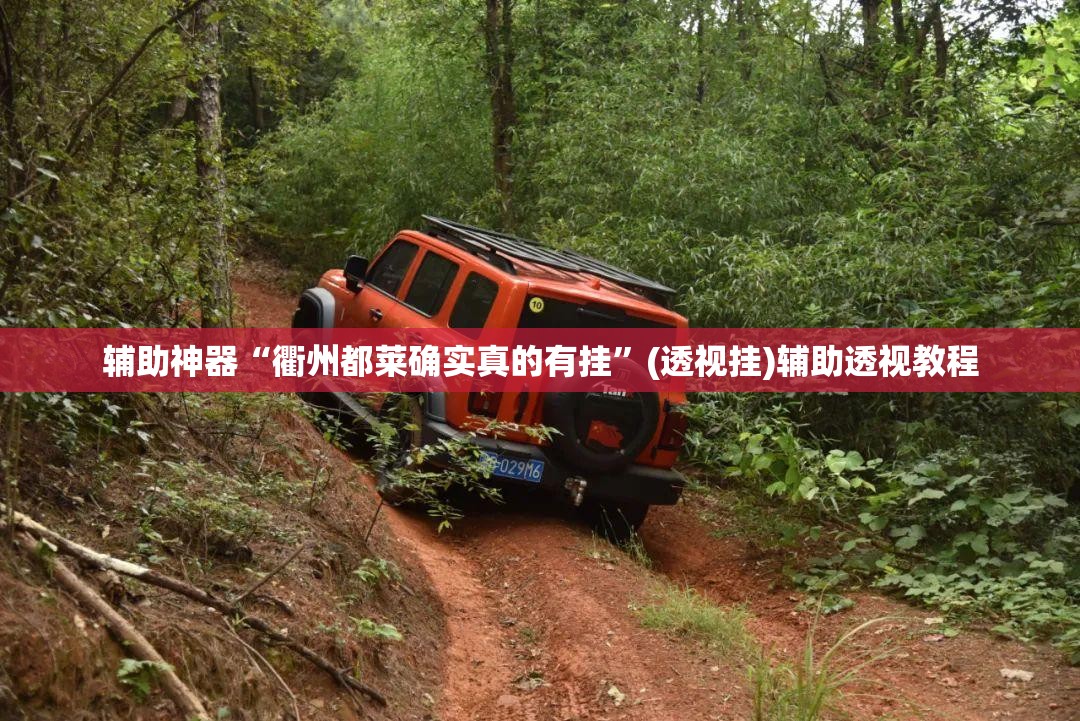 辅助神器“衢州都莱确实真的有挂”(透视挂)辅助透视教程