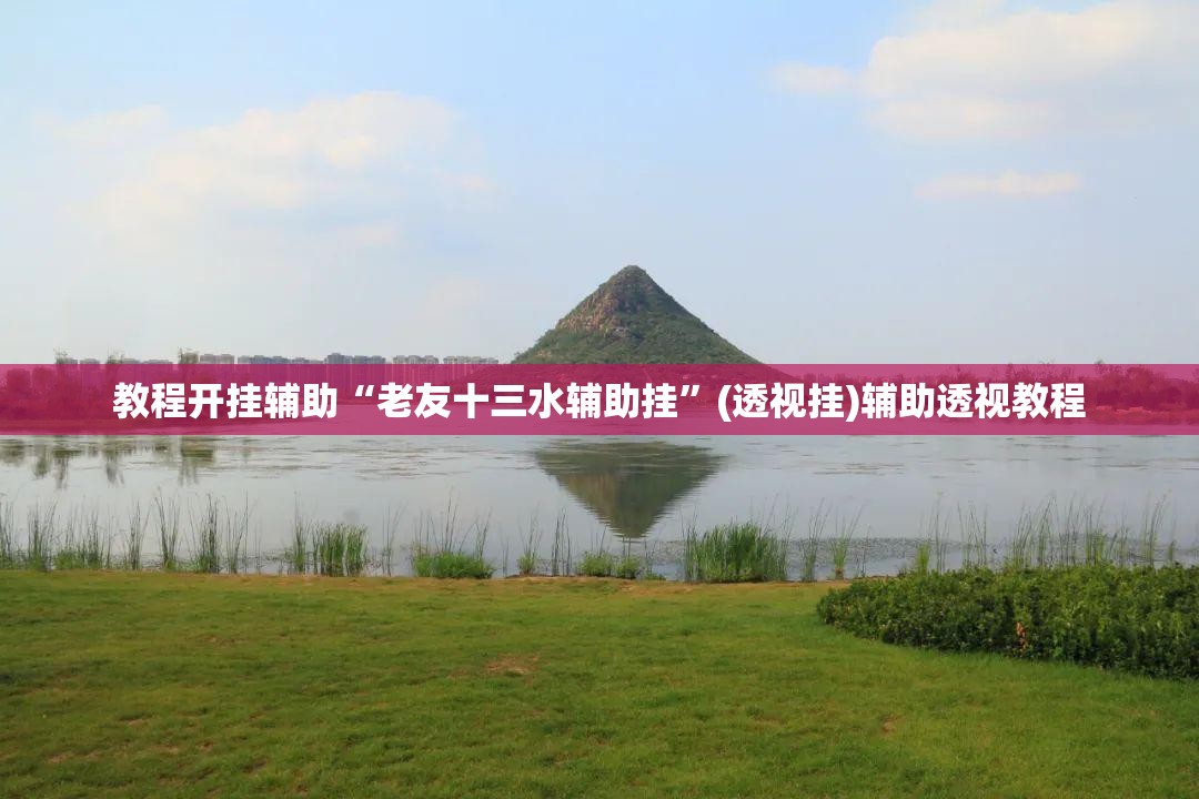 教程开挂辅助“老友十三水辅助挂	”(透视挂)辅助透视教程