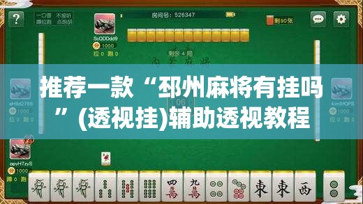 推荐一款“邳州麻将有挂吗”(透视挂)辅助透视教程