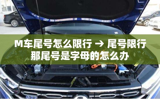 M车尾号怎么限行 → 尾号限行那尾号是字母的怎么办 M车尾号怎么限行 → 尾号限行那尾号是字母的怎么办