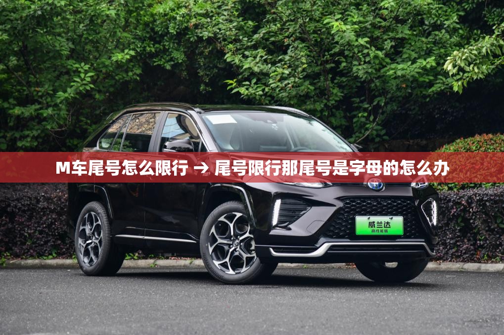 M车尾号怎么限行 → 尾号限行那尾号是字母的怎么办