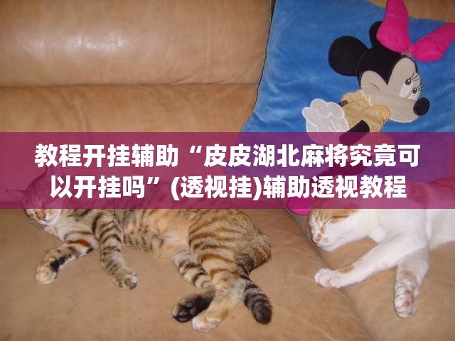 教程开挂辅助“皮皮湖北麻将究竟可以开挂吗”(透视挂)辅助透视教程