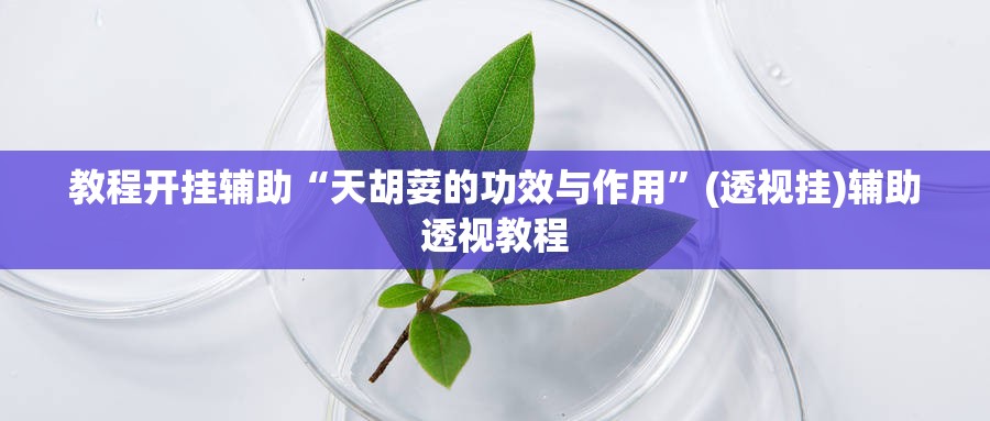 教程开挂辅助“天胡荽的功效与作用”(透视挂)辅助透视教程