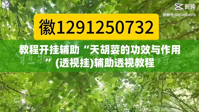 教程开挂辅助“天胡荽的功效与作用”(透视挂)辅助透视教程