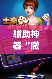 辅助神器“微乐斗地主万能透视	”(透视挂)辅助透视教程