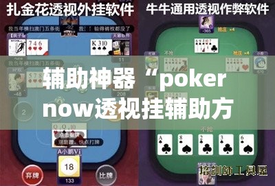 辅助神器“poker now透视挂辅助方法	”(透视挂)辅助透视教程