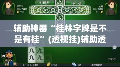 辅助神器“桂林字牌是不是有挂”(透视挂)辅助透视教程