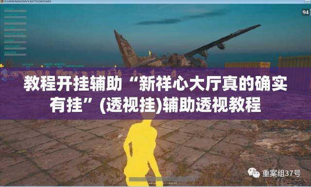 教程开挂辅助“新祥心大厅真的确实有挂	”(透视挂)辅助透视教程