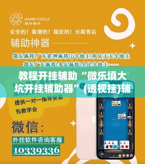 教程开挂辅助“微乐填大坑开挂辅助器”(透视挂)辅助透视教程