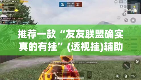 推荐一款“友友联盟确实真的有挂”(透视挂)辅助透视教程