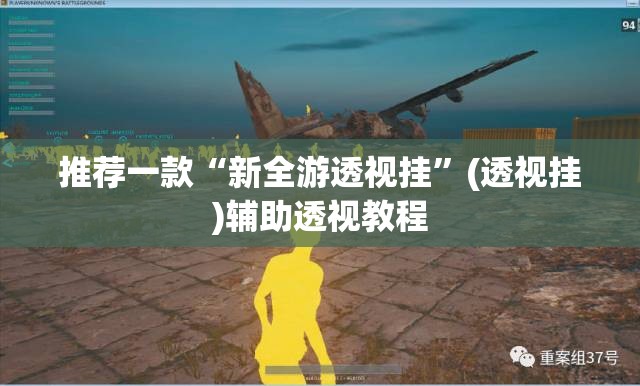 推荐一款“新全游透视挂	”(透视挂)辅助透视教程