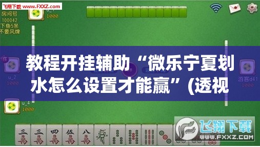 教程开挂辅助“微乐宁夏划水怎么设置才能赢”(透视挂)辅助透视教程
