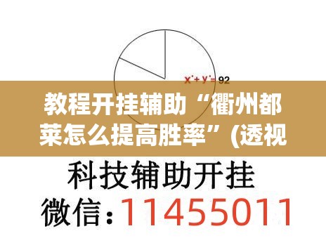 教程开挂辅助“衢州都莱怎么提高胜率”(透视挂)辅助透视教程