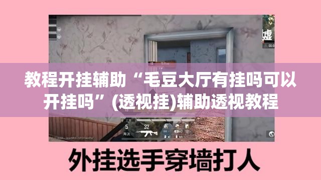 教程开挂辅助“毛豆大厅有挂吗可以开挂吗”(透视挂)辅助透视教程