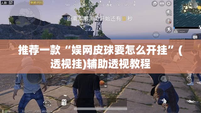 推荐一款“娱网皮球要怎么开挂”(透视挂)辅助透视教程