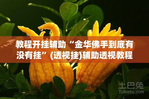 教程开挂辅助“金华佛手到底有没有挂	”(透视挂)辅助透视教程