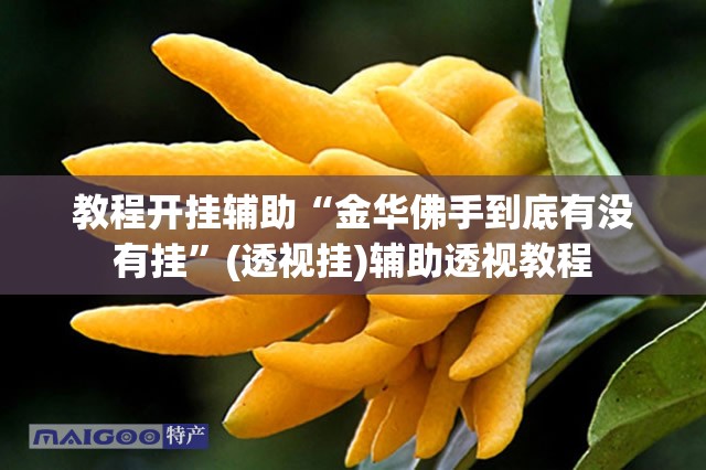 教程开挂辅助“金华佛手到底有没有挂”(透视挂)辅助透视教程