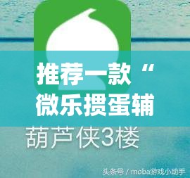推荐一款“微乐掼蛋辅助神器”(透视挂)辅助透视教程