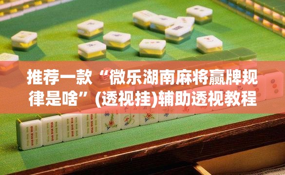 推荐一款“微乐湖南麻将赢牌规律是啥”(透视挂)辅助透视教程