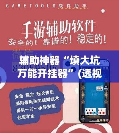 辅助神器“填大坑万能开挂器	”(透视挂)辅助透视教程