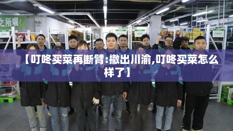 【叮咚买菜再断臂:撤出川渝,叮咚买菜怎么样了】 【叮咚买菜再断臂:撤出川渝,叮咚买菜怎么样了】