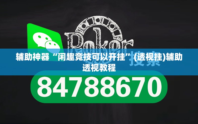 辅助神器“闲趣竞技可以开挂”(透视挂)辅助透视教程