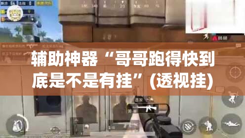 辅助神器“哥哥跑得快到底是不是有挂”(透视挂)辅助透视教程