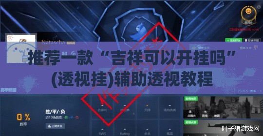 推荐一款“吉祥可以开挂吗”(透视挂)辅助透视教程