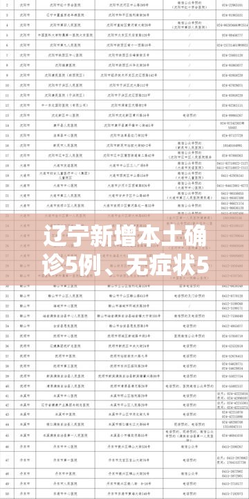 辽宁新增本土确诊5例、无症状52例：辽宁新增本土无症状8例