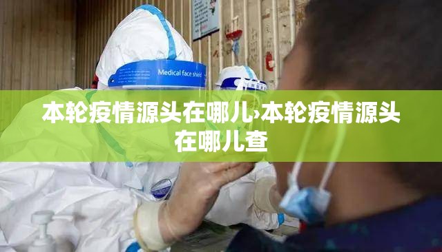 本轮疫情源头在哪儿›本轮疫情源头在哪儿查