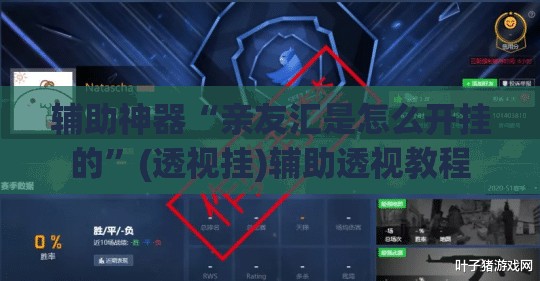 辅助神器“亲友汇是怎么开挂的”(透视挂)辅助透视教程