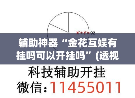 辅助神器“金花互娱有挂吗可以开挂吗”(透视挂)辅助透视教程