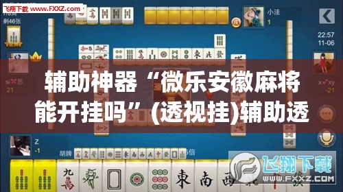 辅助神器“微乐安徽麻将能开挂吗”(透视挂)辅助透视教程