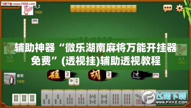 辅助神器“微乐湖南麻将万能开挂器免费”(透视挂)辅助透视教程