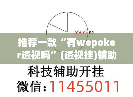 推荐一款“有wepoker透视吗”(透视挂)辅助透视教程