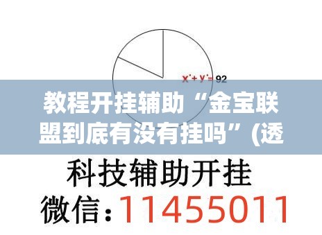 教程开挂辅助“金宝联盟到底有没有挂吗”(透视挂)辅助透视教程