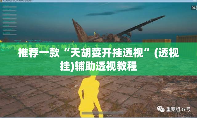 推荐一款“天胡荽开挂透视”(透视挂)辅助透视教程