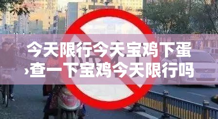 今天限行今天宝鸡下蛋›查一下宝鸡今天限行吗 今天限行今天宝鸡下蛋›查一下宝鸡今天限行吗