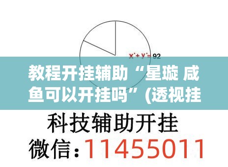 教程开挂辅助“星璇 咸鱼可以开挂吗”(透视挂)辅助透视教程